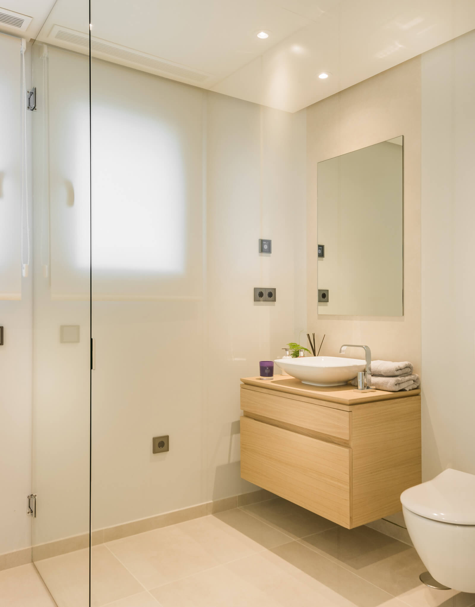 luxury penthouse show flat bathroom